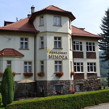 Pensjonat Mimoza Świeradów-Zdrój Buitenkant foto