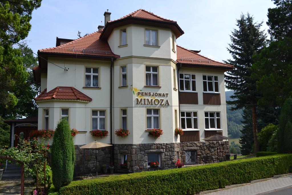 Pensjonat Mimoza Świeradów-Zdrój Buitenkant foto