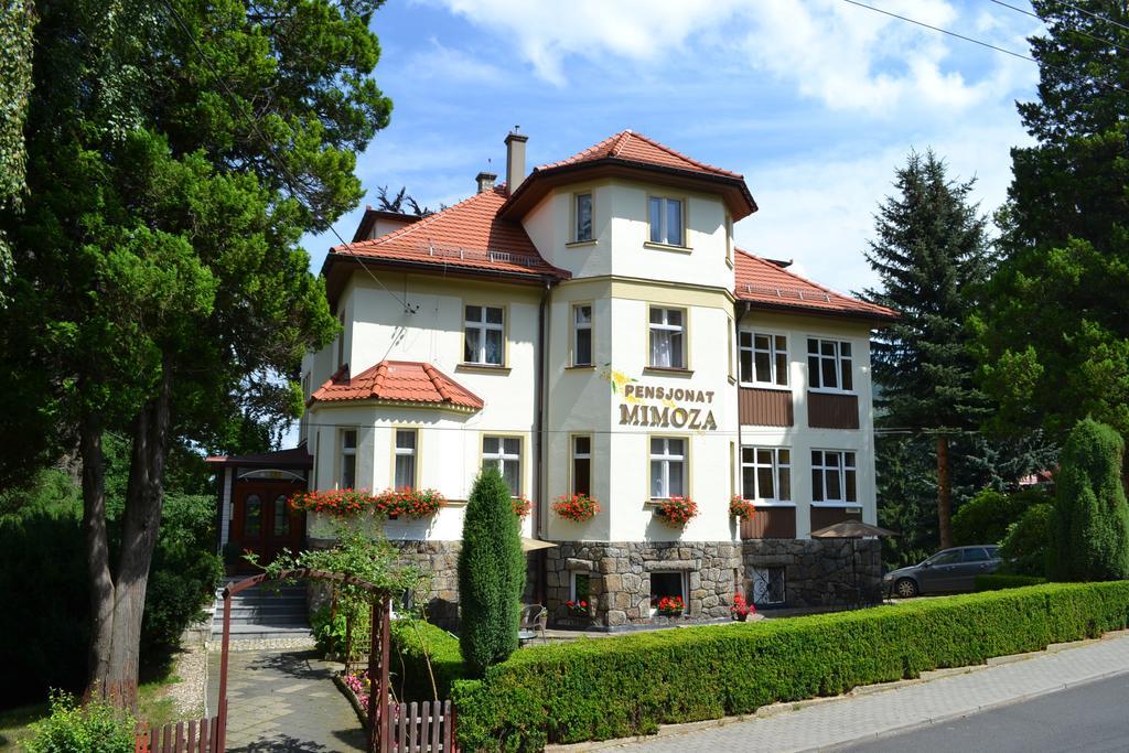 Pensjonat Mimoza Świeradów-Zdrój Buitenkant foto